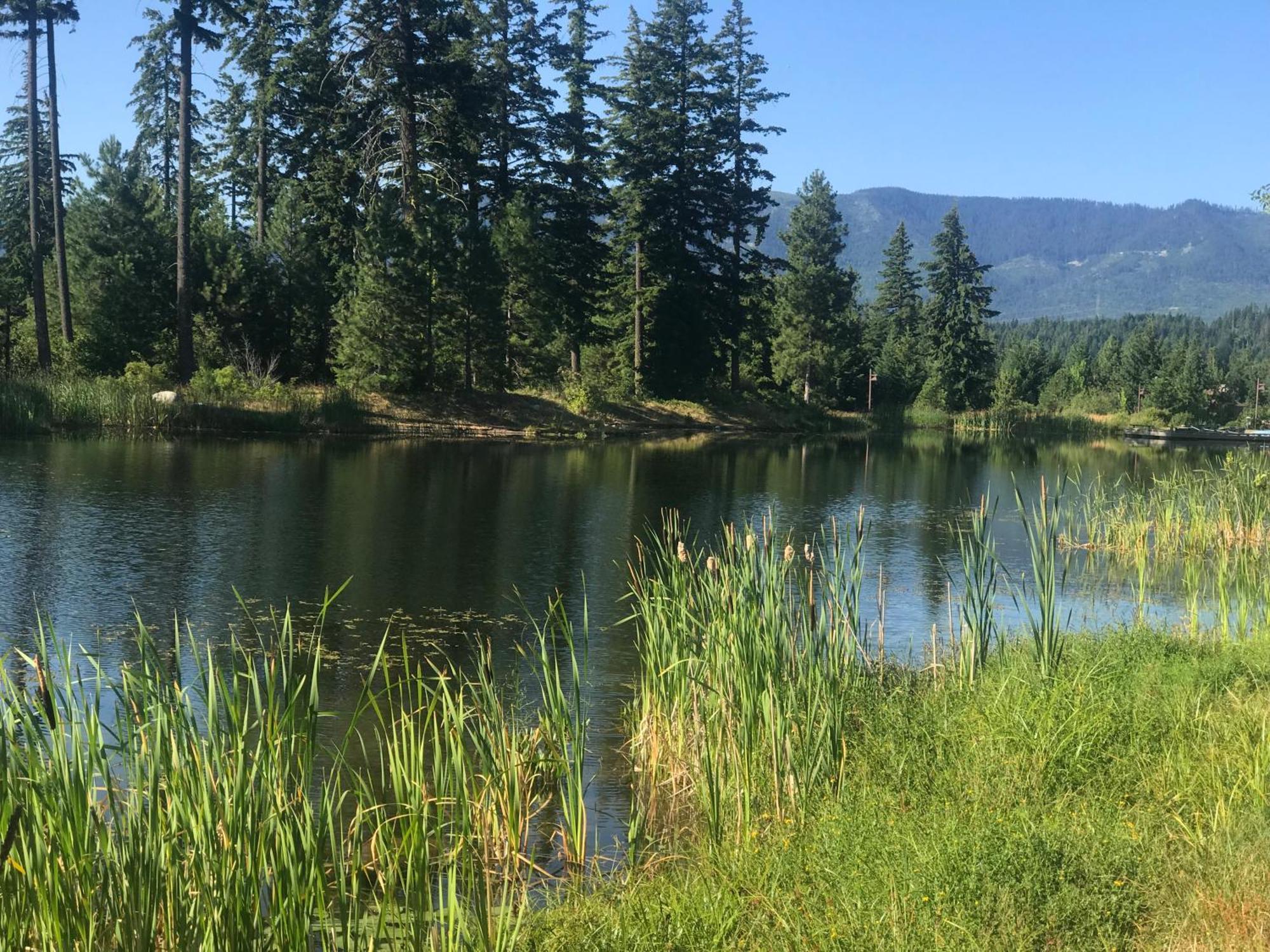 The Best Luxury River View Full Apartment Lodge Unit - 5049 Cle Elum Bagian luar foto